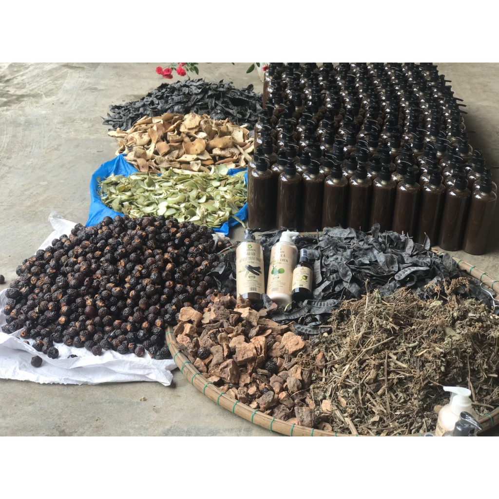 COMBO DẦU GỘI BỒ KẾT CÔ ĐẶC VÀ DẦU XẢ THIÊN NHIÊN BƯỞI DỪA BOBOON NGĂN RỤNG TÓC, SẠCH GÀU, HẾT NGỨA VÀ NẤM DA DẦU | BigBuy360 - bigbuy360.vn