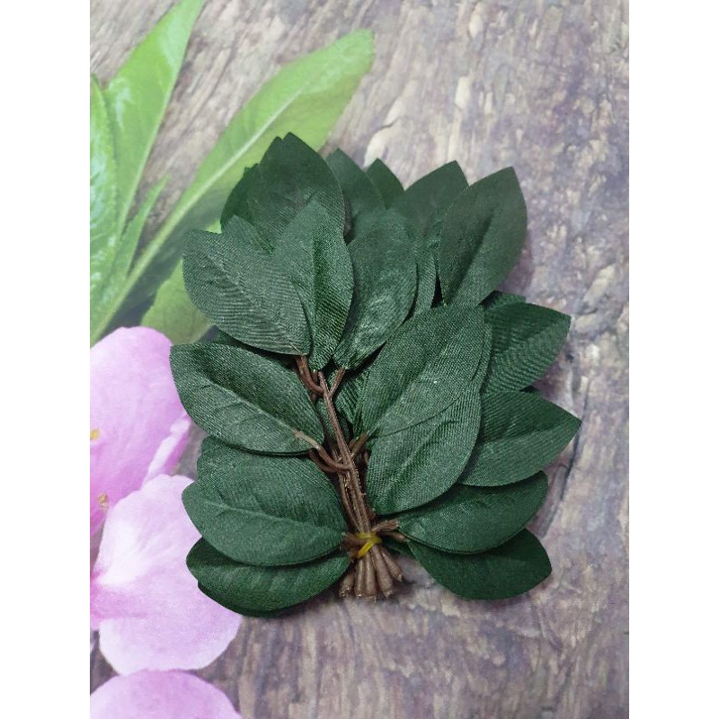 Combo 3 bó Lá bồ công anh