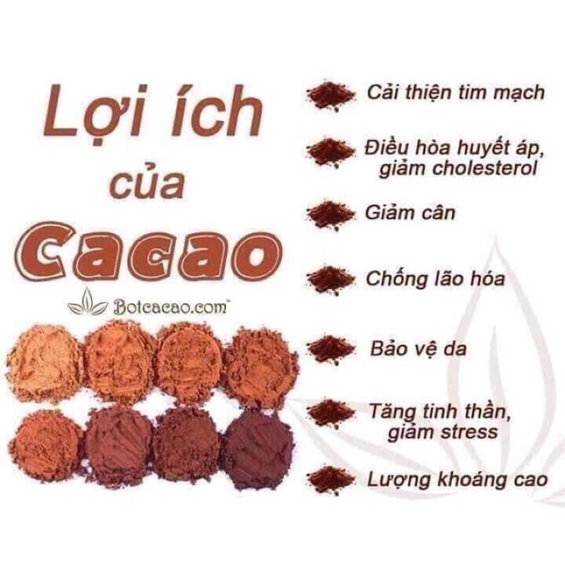 1 Hộp 500g Cacao nguyên chất Đăk Lăk