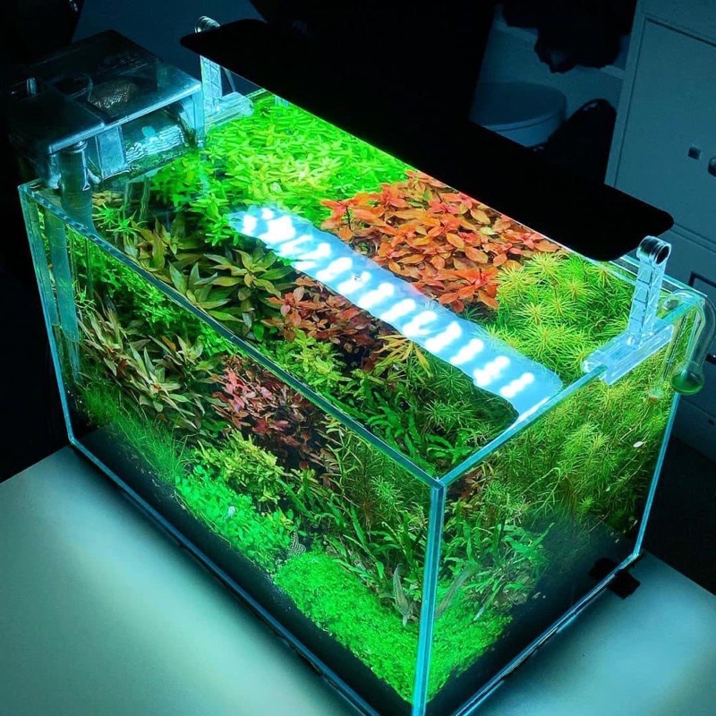 ĐÈN LED CHIHIROS A2 VERSION 2