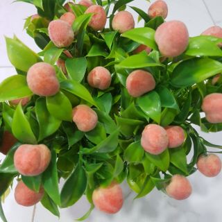 Cành đào 5 nhánh 30cm mỗi quả phủ lông măng giống chân thật