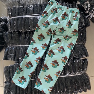 Set áo quần vịt perry