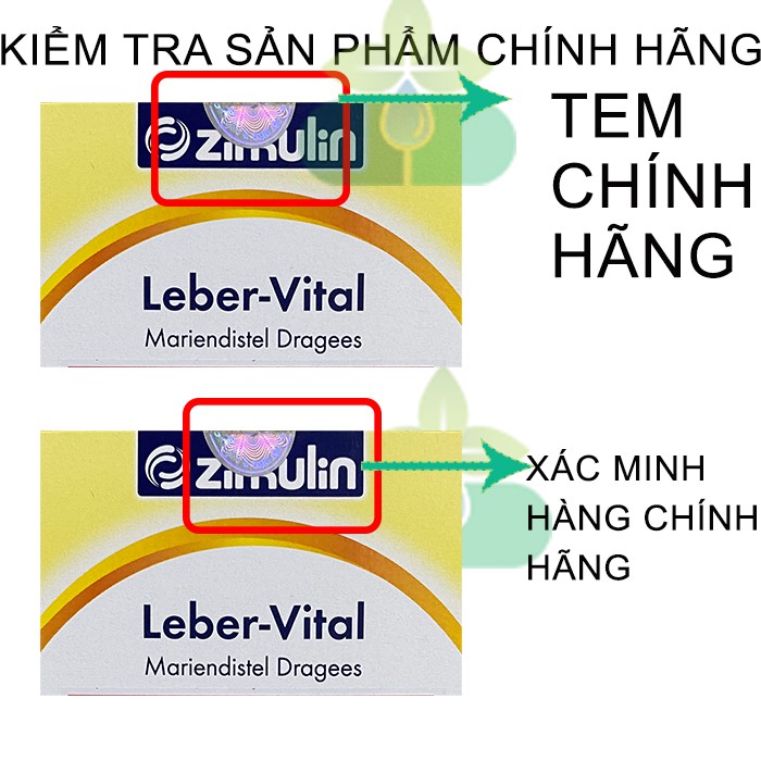 Zirkulin Leber Vital Viên Uống Giải Độc Gan, Tăng Cường Chức Năng Gan Chính Hãng Đức | BigBuy360 - bigbuy360.vn