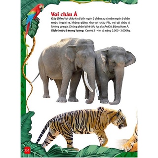 Sách - Khám Phá Động Vật 5 Châu - Châu Á