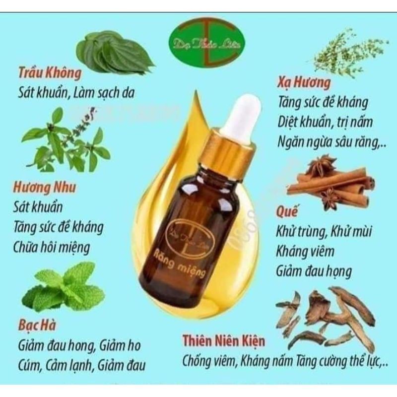 răng miệng dạ thảo liên lọ 20ml