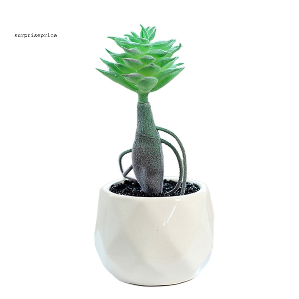 Chậu Cây Giả Mini Dùng Trang Trí Nhà Cửa