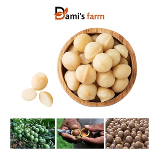 500g nhân hạt macca tách vỏ nguyên hạt daklak organic