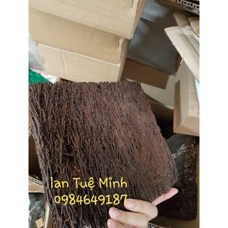 Bảng dớn trồng lan size 20x20x3cm