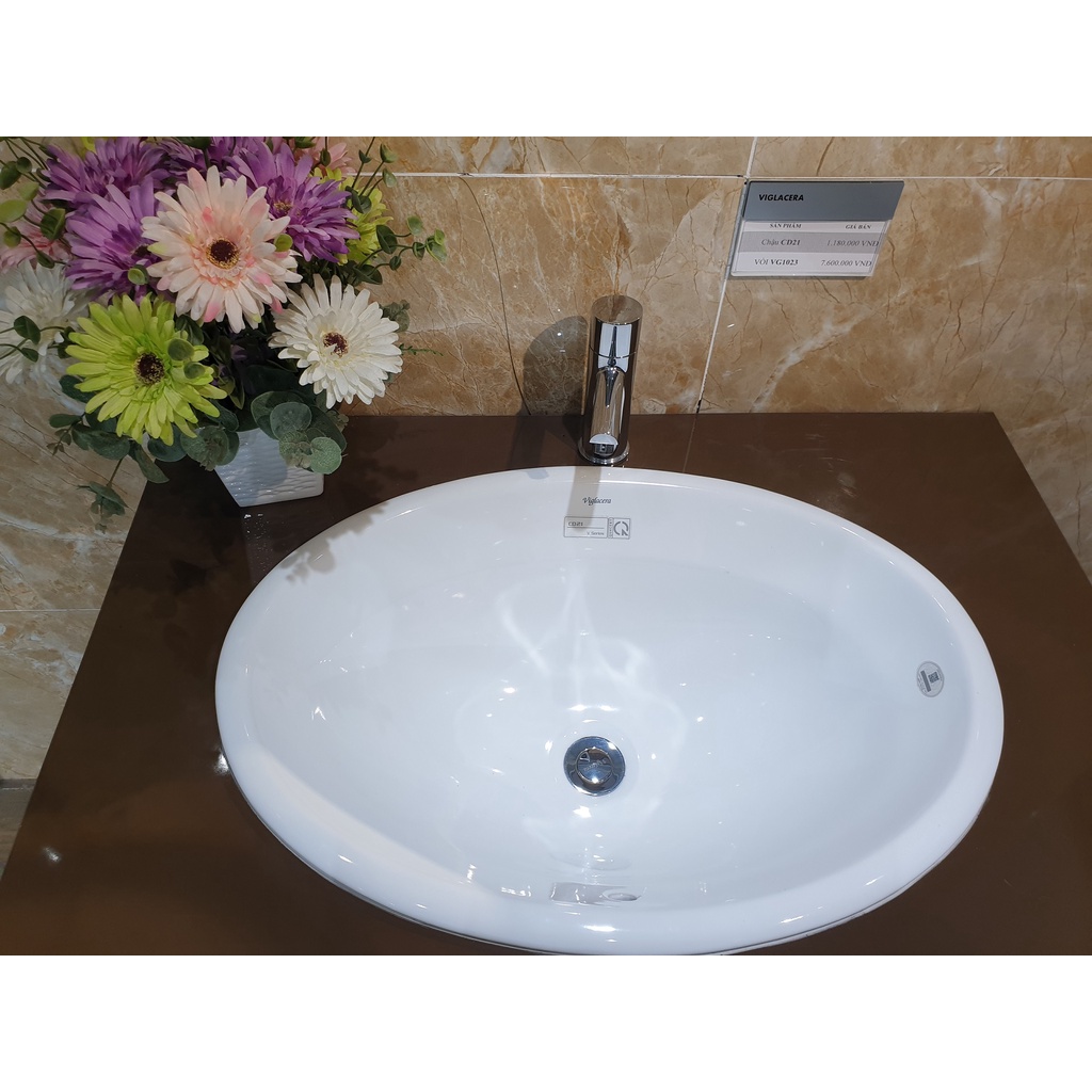 Chậu Rửa Mặt Lavabo Viglacera CD21 Dương Vành