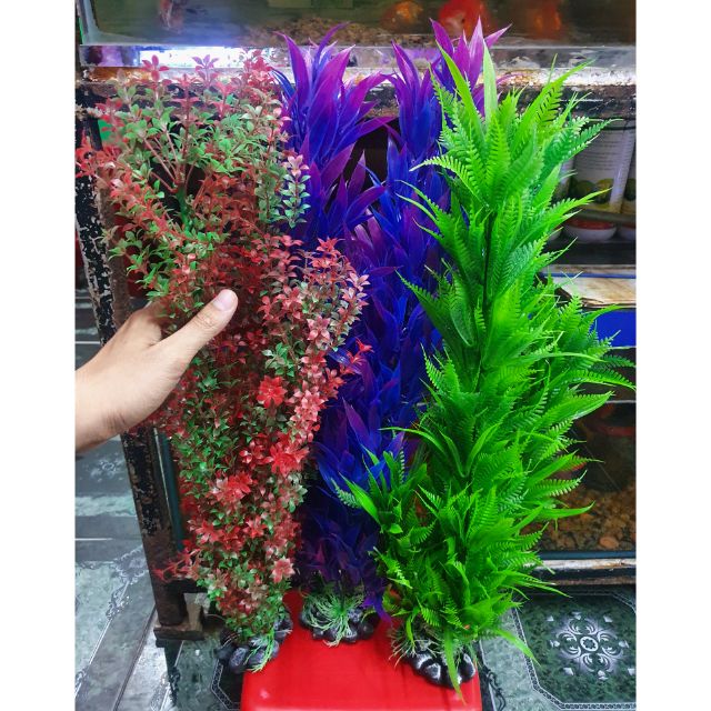 RONG GIẢ TRANG TRÍ HỒ CÁ NON BỘ CAO 55CM