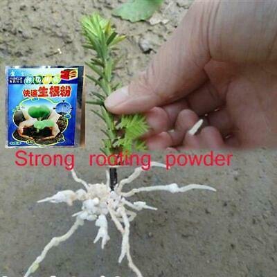 Bột Rapid Rooting hormone chuyên kích rễ cây trồng, kích nảy mầm hạt giống