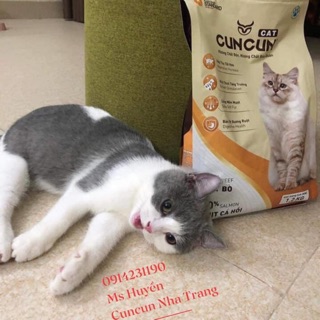 Thức ăn cho mèo/boss/meo Cuncun [1,2kg]