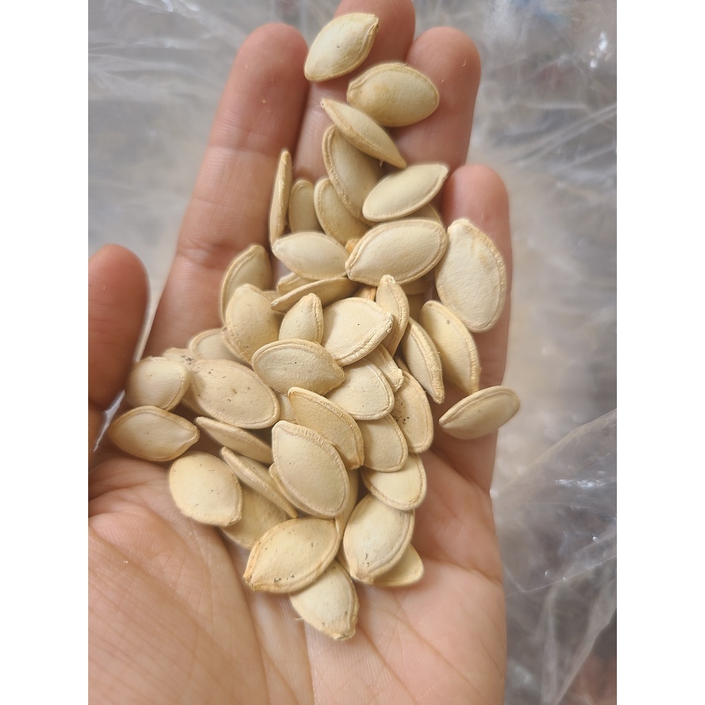 Hạt bí rang muối thơm ngon,giòn béo - hai loại lớn/nhỏ - túi hút chân không
