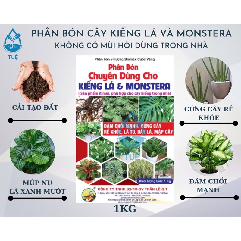 Phân Bón Cây Kiểng Lá và Monstera không có mùi hôi dùng trong nhà Gói 1kg