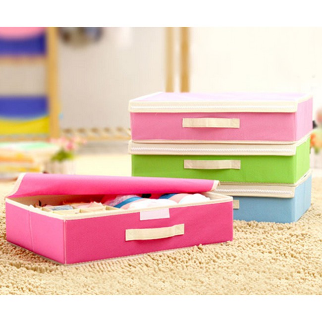 Hộp đựng đồ lót 16 ngăn có nắp đậy tiện dụng - giao màu ngẫu nhiên