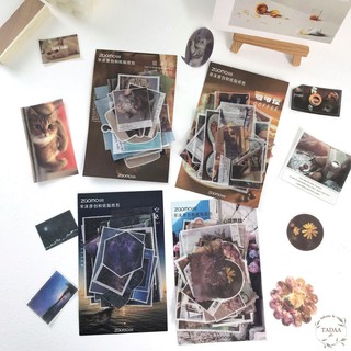 Set 40 sticker vintage hoa lá, animal, coffee, bầu trời retro (hồng, vàng, xanh, đỏ, tím)