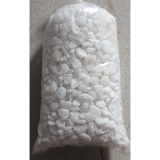 Sỏi trắng trang trí chậu cây, bể cá cảnh