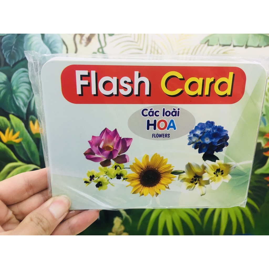 Bộ Thẻ Học Thông Minh 15 Chủ Đề Loại To (FLASH CARD) - Chính hãng miDoctor