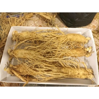 NHÂN SÂM CHUẨN HÀN QUỐC_LOẠI 6 CỦ/1KG 6 NĂM TUỔI