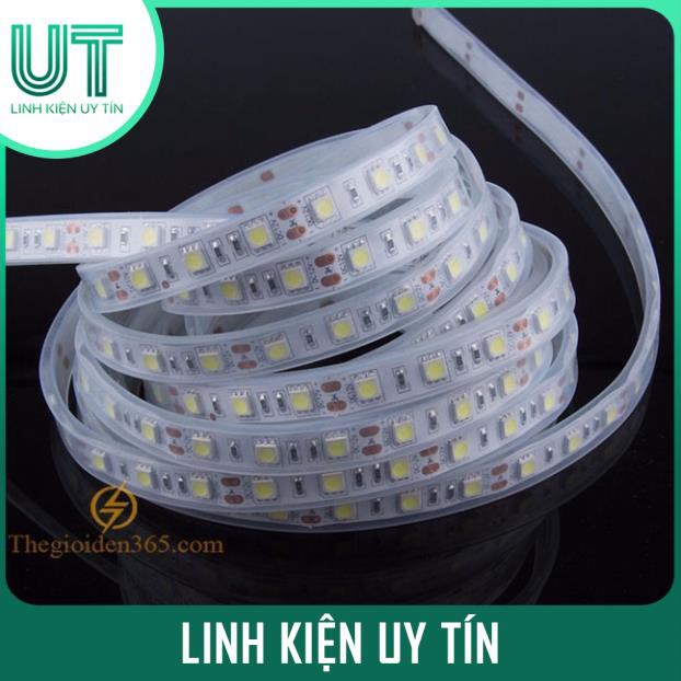 Led Dây 5050 12V Màu Vàng Đậm Ống Chịu Nước IP68 Cuộn 5M