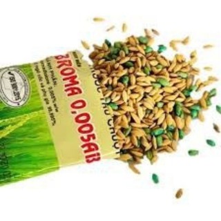Bả diệt chuột trộn thóc BROMA 50 gr
