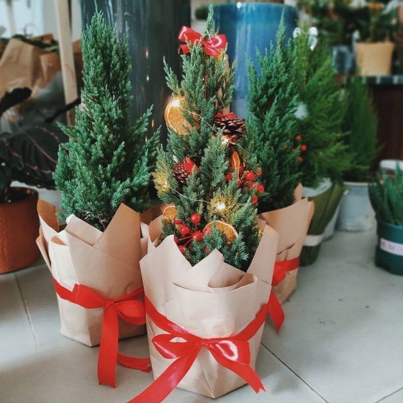 Cây sơn tùng Noel trang trí fullset để bàn