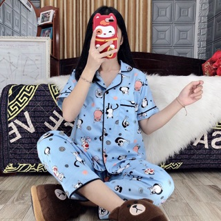 Đồ bộ kate thái cực xinh 100% chụp thật