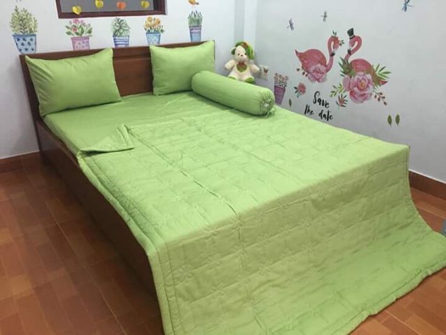 Drap cotton màu trơn Thắng Lợi.