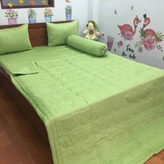 Drap cotton màu trơn Thắng Lợi.