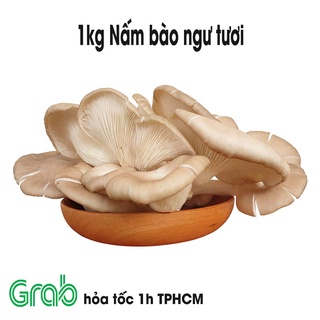 [sỉ nấm] Túi 1 kg nấm bào ngư xám hái tại trang trại