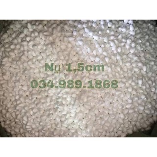 Nụ xốp, răng rồng 1 gói (70 nụ)