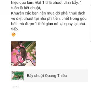 Combo 5 bẫy chuột Quang Thiều