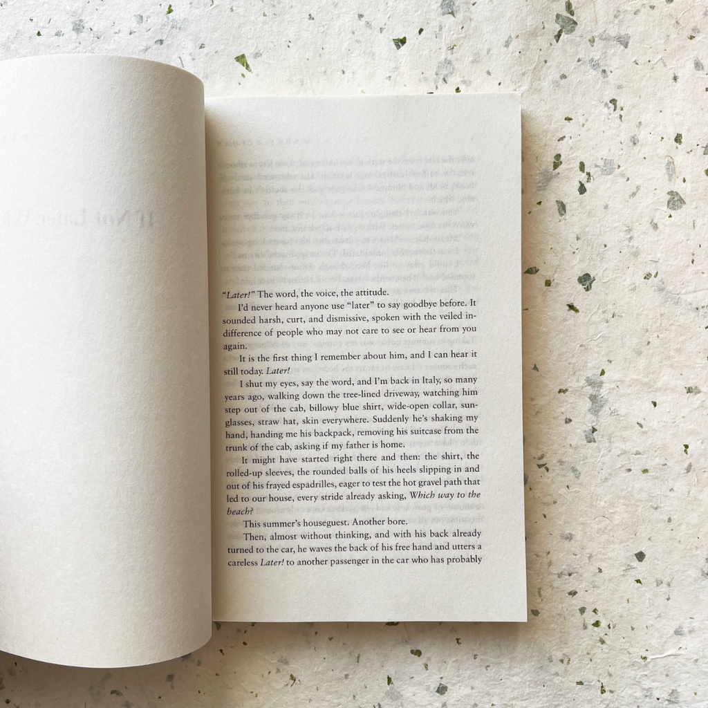 Call Me by Your Name - André Aciman - 9781250169440 Moonbird