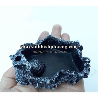 CHÉN CHO TÉP ĂN GIẢ ĐÁ | KHÔNG LÀM DƠ NỀN THỦY SINH KHI CHO TÉP ĂN