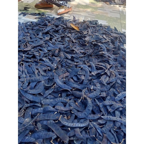 Bồ kết khô giá siêu rẻ 1kg