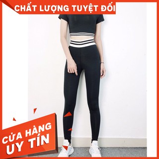 Bộ đồ tập Áo thun thể thao nữ, gym nữ, Gym yoga aerobic, Yoga Fitness áo bo line cao cấp xám đen phối trắng