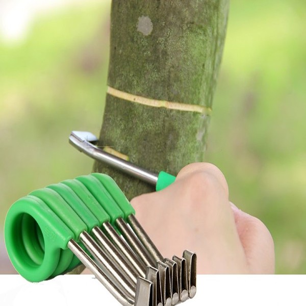 DỤNG CỤ KHOANH VỎ CÂY