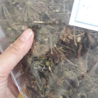Hoa tam thất 1kg
