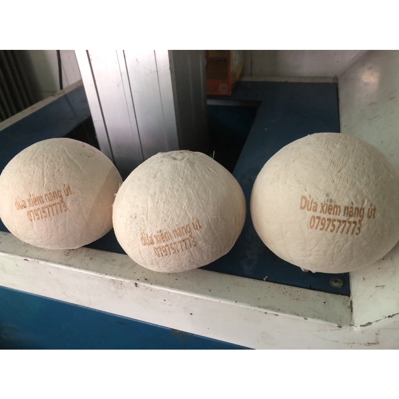 Dừa xiêm trọc  700g - 800g