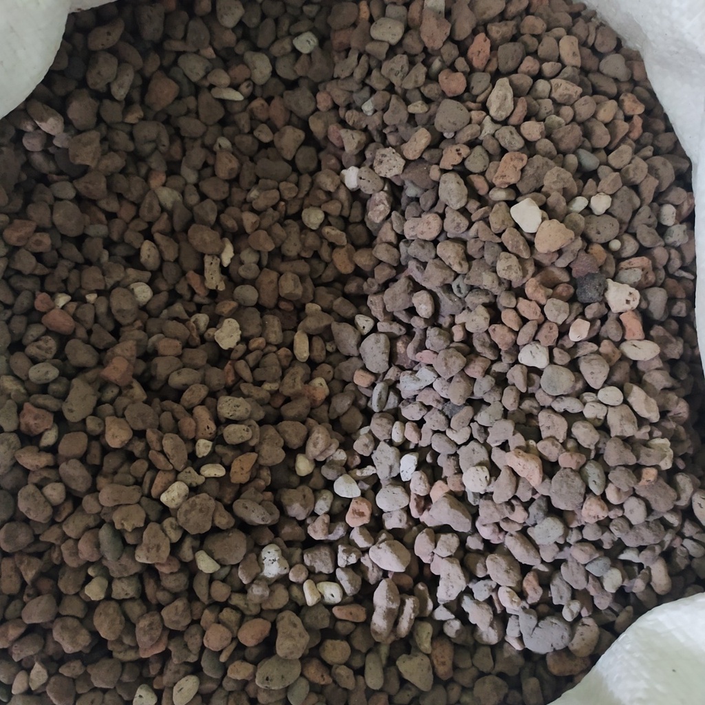 500g đá Pumice trồng sen đá, xương rồng