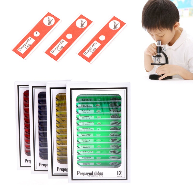 Bộ 48 Tiêu Bản Mẫu Thực Vật Và Động Vật Cho Kính Hiển Vi