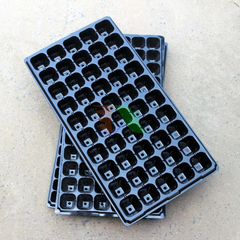 khay nhựa ươm cây 50 lỗ, Vỉ ươm hạt giống, Khay nhựa PVC ươm hạt rau hoa