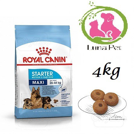 ROYAL CANIN MAXI STARTER MOTHER &amp; BABYDOG 4KG - THỨC ĂN HẠT CHÓ CHÓ MẸ VÀ CHÓ CHO CON KÍCH tHƯỚC LỚN 4KG