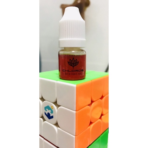 Chloros Limited Ngày Tết