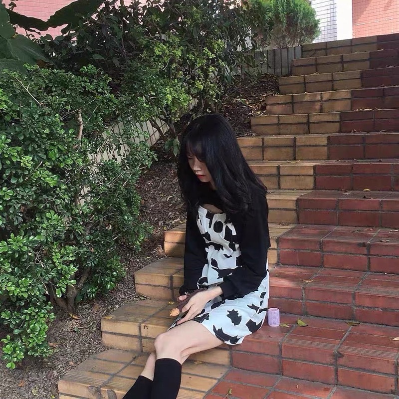 Full set váy họa tiết bò sữa
