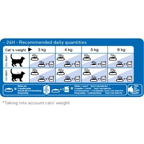 [HÀNG CTY][DATE XA] Hạt Mèo Royal Canin Indoor Chống Mùi Hôi Phân Cho Mèo Nuôi Trong Mèo Túi PA 1Kg