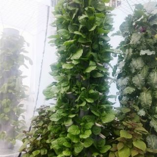 Trụ trồng rau tự lắp ráp