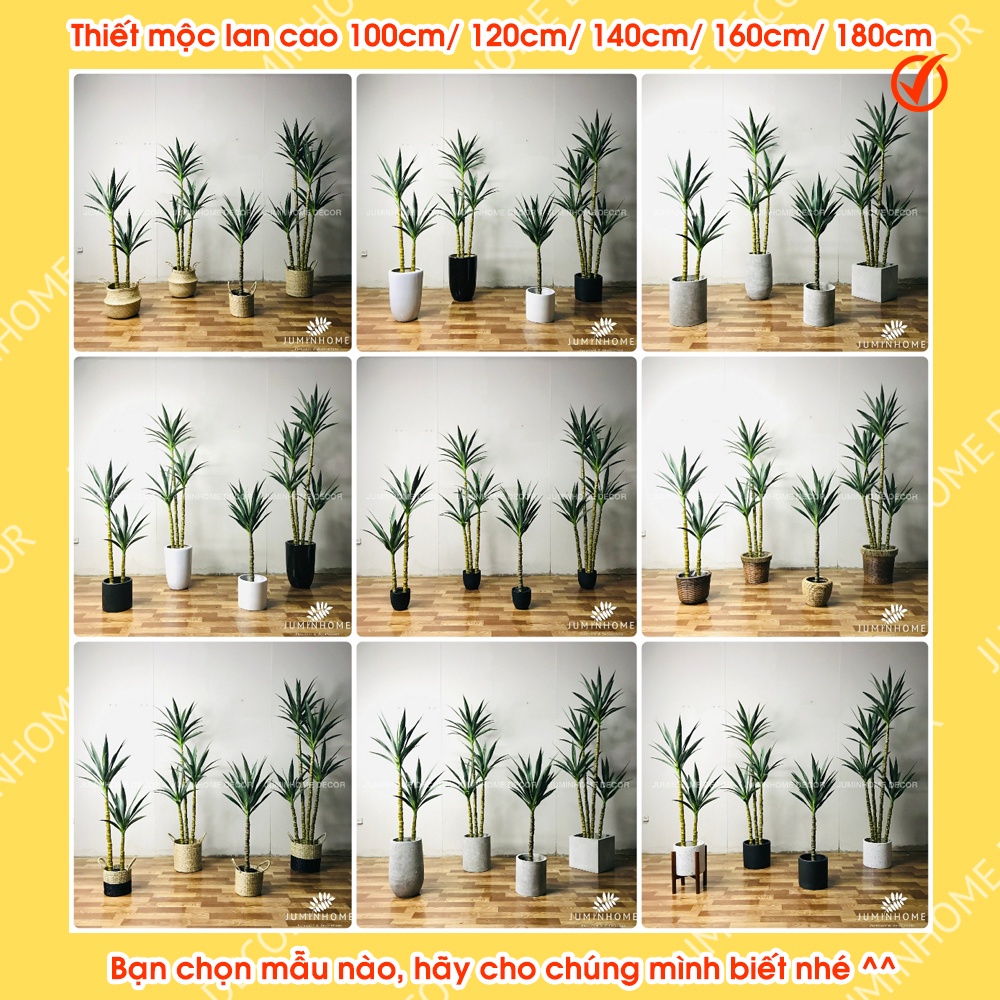 Cây giả, thiết mộc lan giả, phát tài núi - Cây giả decor trang trí nhà cửa nội thất phòng khách phòng ngủ