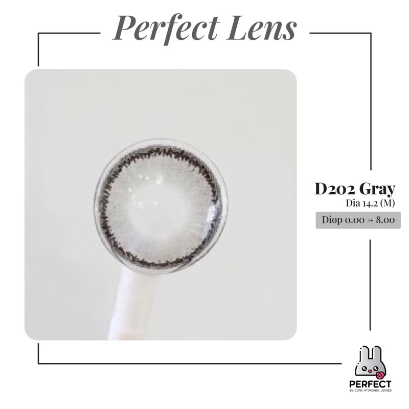 Lens ẢNH MẮT THẬT , Kính Áp Tròng D202 GRAY Có Độ Cận và Không Độ , DIA 14.2 M ,Cho Mắt Nhạy Cảm Giá Sale