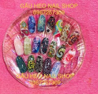 Set foil dán móng cực hot